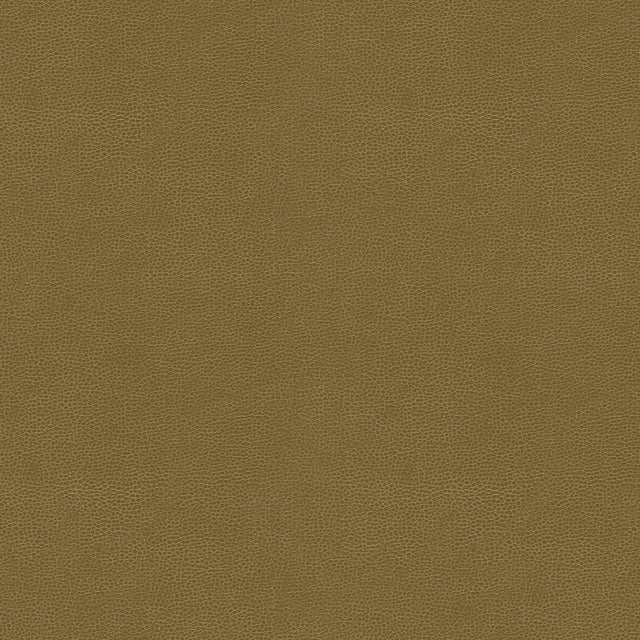 Kravet DESIGN GILLIAN 606 Upholstery Fabric