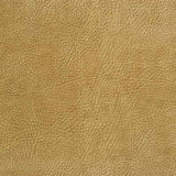Kravet DESIGN GLENDALE 16 Upholstery Fabric