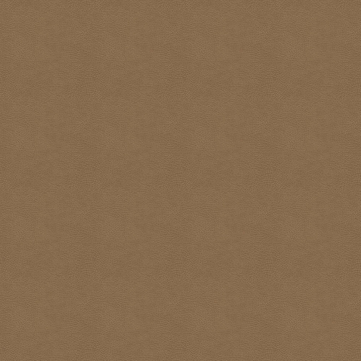 Kravet DESIGN GLENDALE 1616 Upholstery Fabric