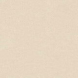 Kravet DESIGN LITESTAR 1 Upholstery Fabric
