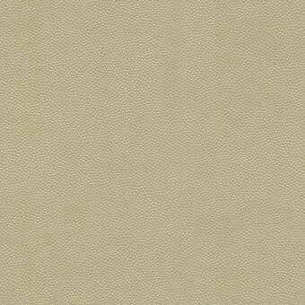 Kravet LITESTAR SAND Upholstery Fabric