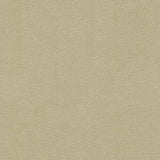 Kravet LITESTAR SAND Upholstery Fabric