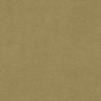 Kravet LITESTAR GOLD Upholstery Fabric