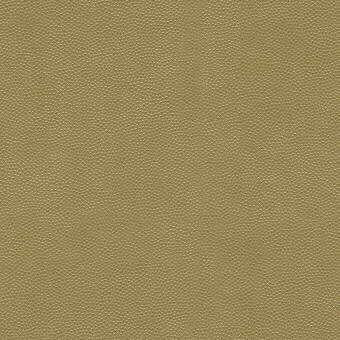 Kravet LITESTAR GOLD Upholstery Fabric