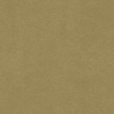 Kravet LITESTAR GOLD Upholstery Fabric