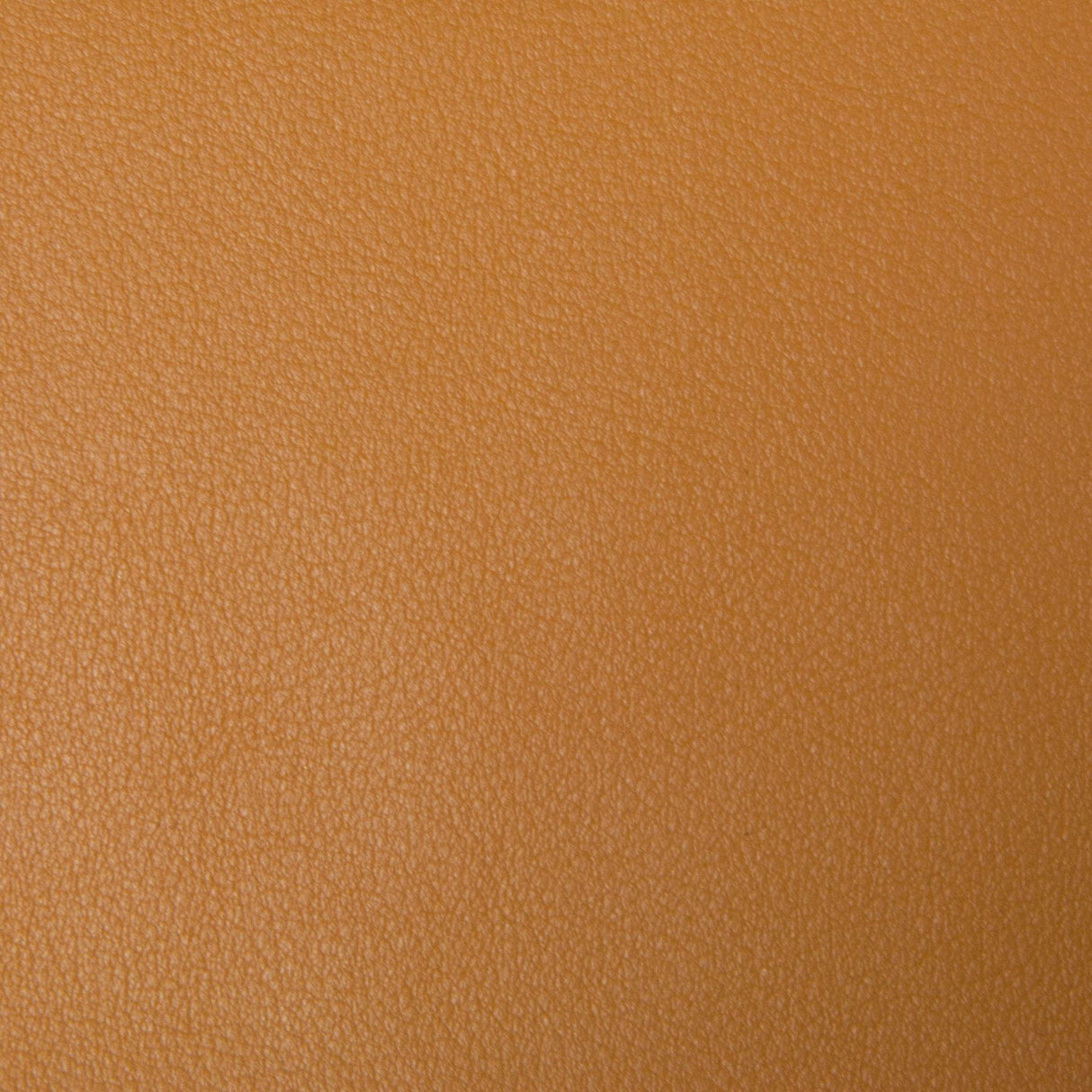 Kravet SMART NEWT 4 Upholstery Fabric