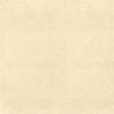 Kravet DESIGN NOVASUEDE 116 Upholstery Fabric