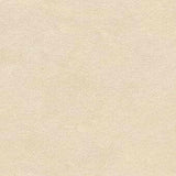 Kravet DESIGN NOVASUEDE 1661 Upholstery Fabric