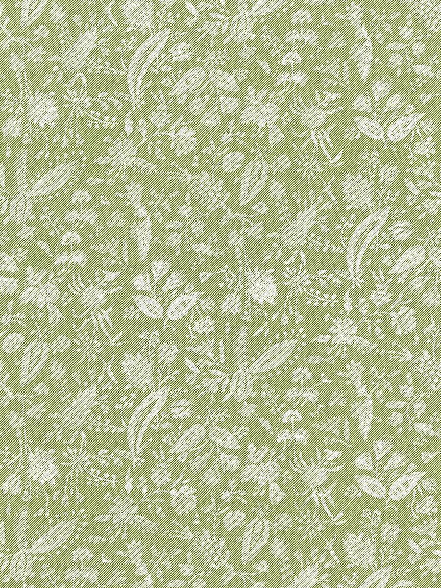 Scalamandre Tulia Linen Print Willow Fabric
