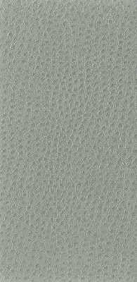 Kravet BASICS NUOSTRICH 11 Upholstery Fabric
