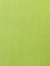 Scalamandre Toscana Linen Lime Fabric