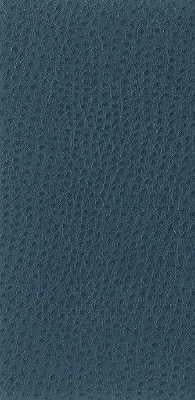 Kravet BASICS NUOSTRICH 5 Upholstery Fabric