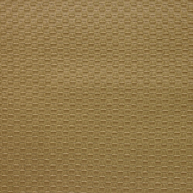 Kravet DESIGN OLIA 16 Upholstery Fabric