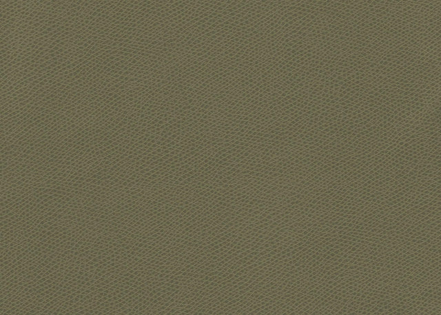 Kravet OPHIDIAN SAGE Upholstery Fabric