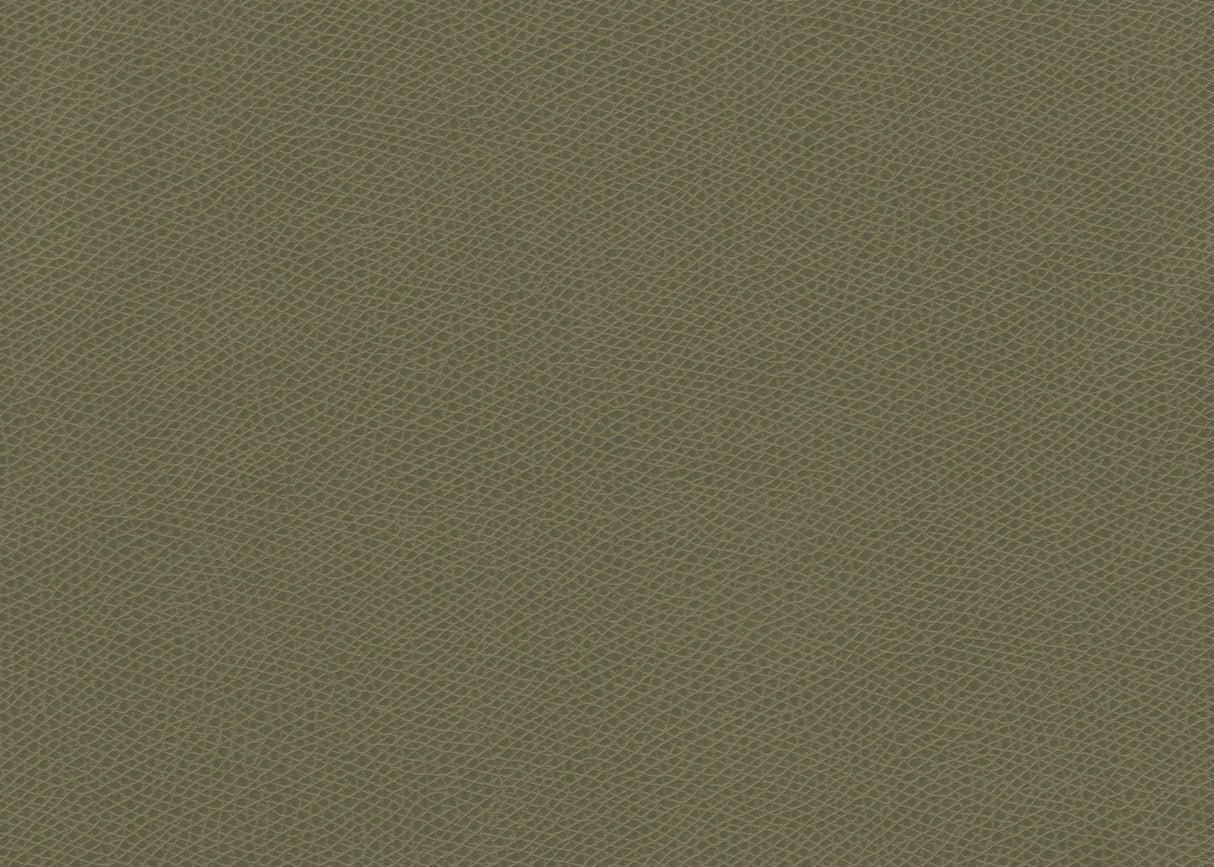 Kravet OPHIDIAN SAGE Upholstery Fabric