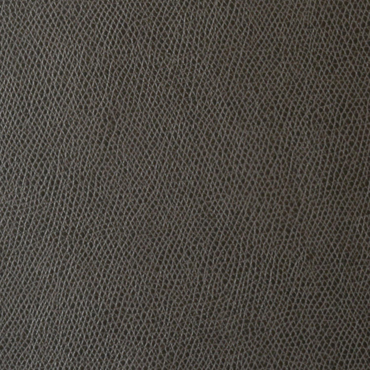 Kravet OPHIDIAN CHARCOAL Upholstery Fabric