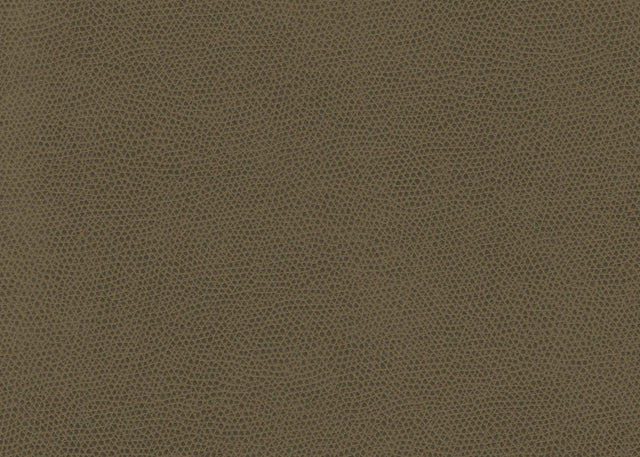 Kravet OPHIDIAN BARK Upholstery Fabric