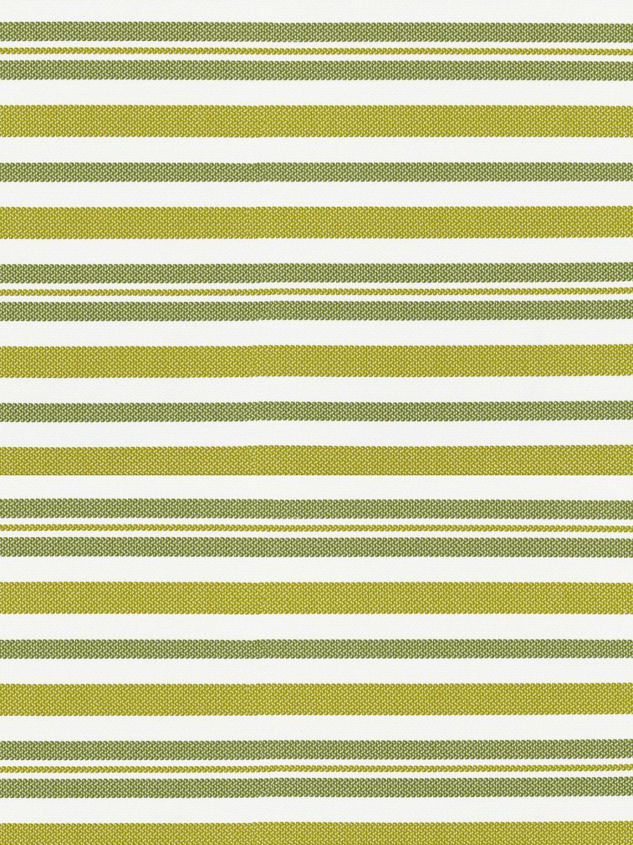Scalamandre Santorini Stripe Palm Fabric