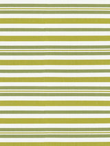 Scalamandre Santorini Stripe Palm Fabric