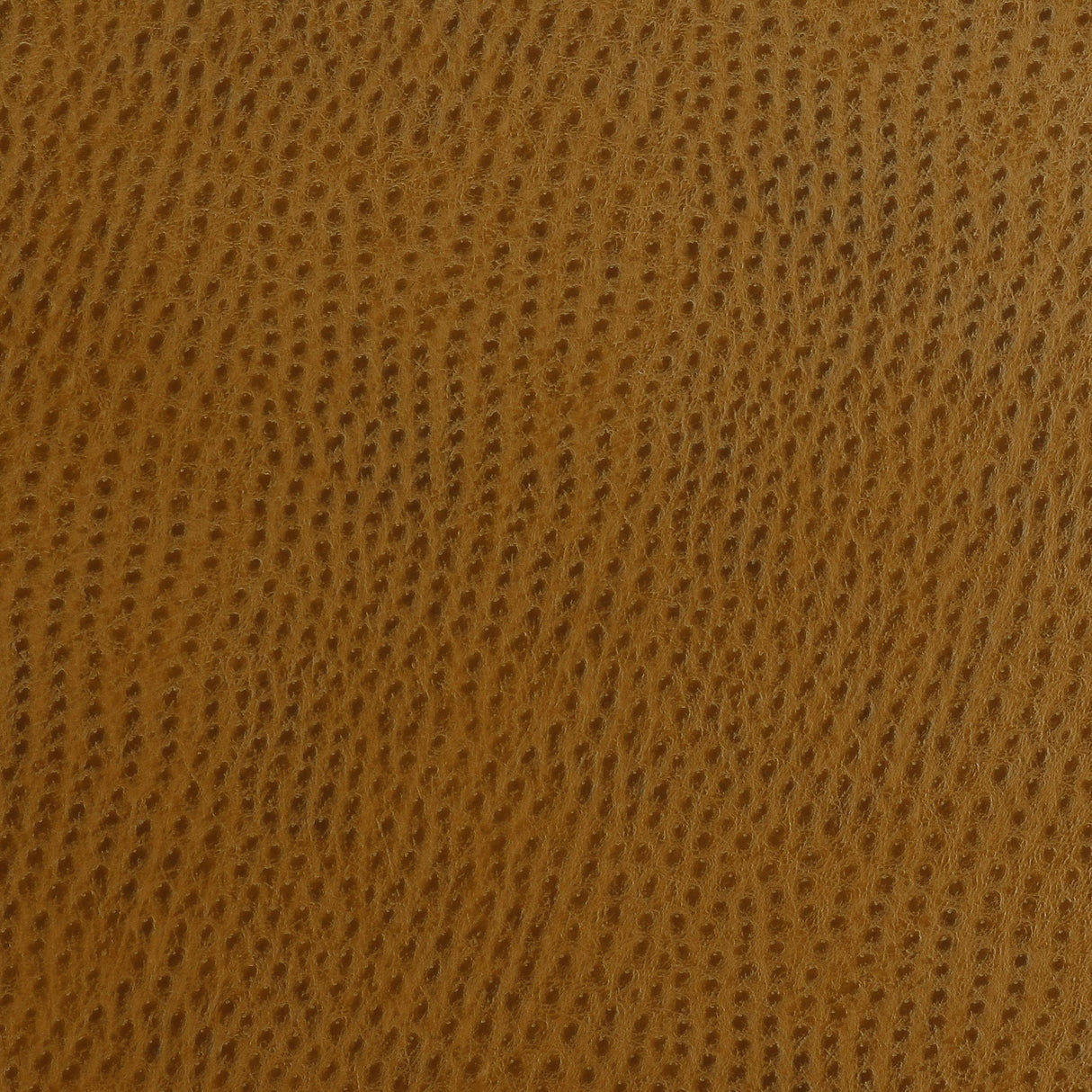 Kravet SMART OSSY 24 Upholstery Fabric