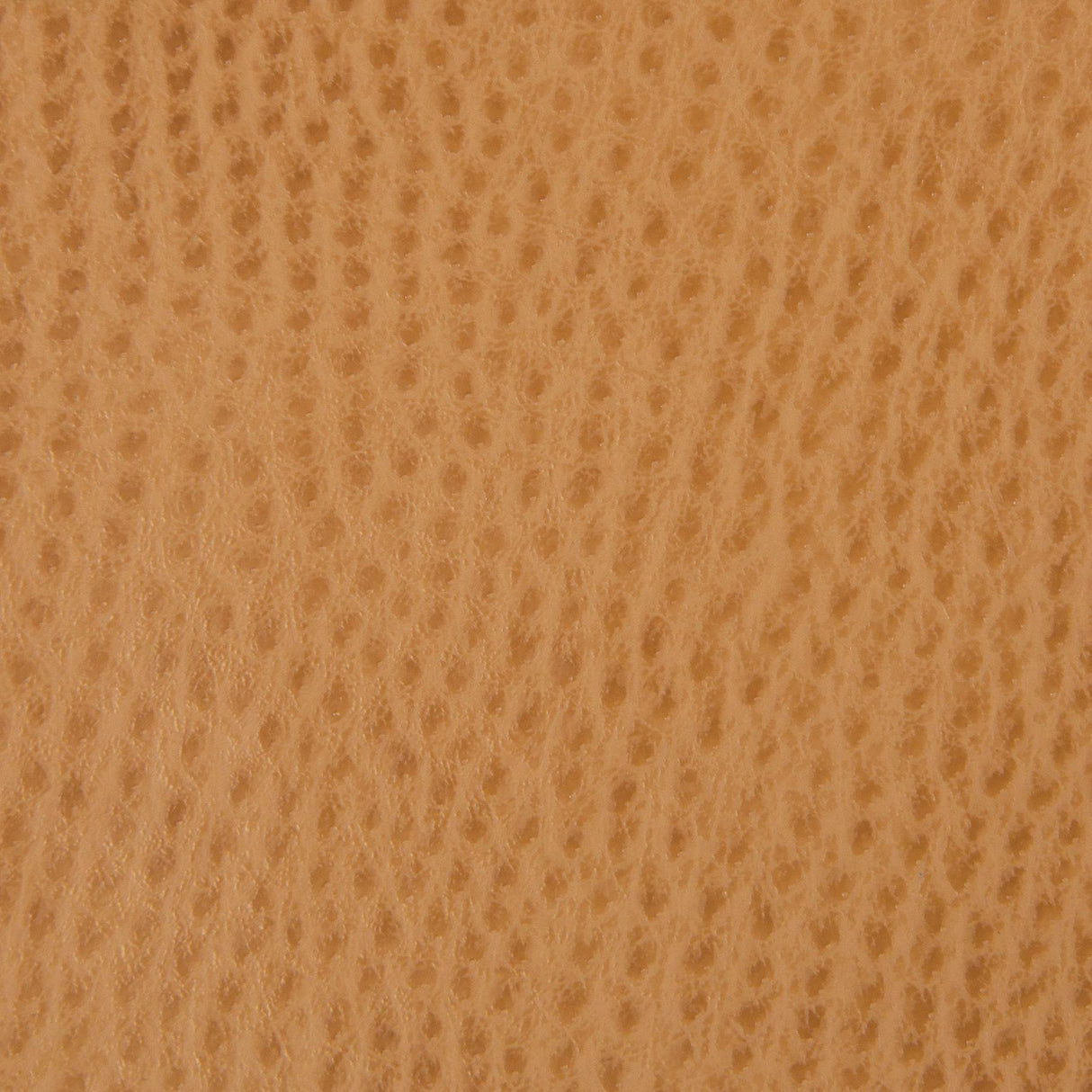 Kravet SMART OSSY 4 Upholstery Fabric