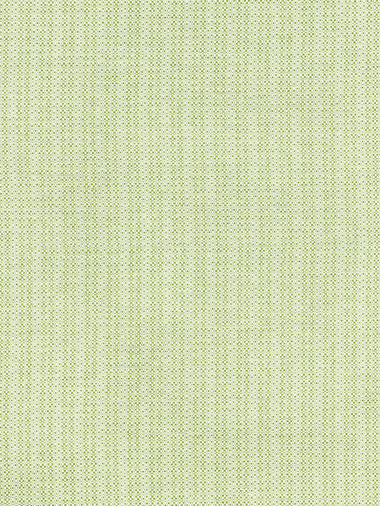 Scalamandre TAHITI TWEED PALM Fabric