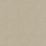 Kravet DESIGN PINWHEEL 16 Upholstery Fabric