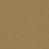 Kravet DESIGN PINWHEEL 4 Upholstery Fabric