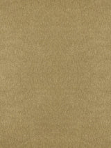 Scalamandre Bay Velvet | Outdoor Sand Fabric