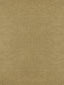 Scalamandre Bay Velvet | Outdoor Sand Fabric