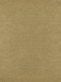 Scalamandre Bay Velvet | Outdoor Sand Fabric