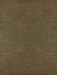 Scalamandre Bay Velvet | Outdoor Taupe Fabric