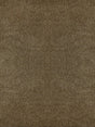 Scalamandre Bay Velvet | Outdoor Taupe Fabric