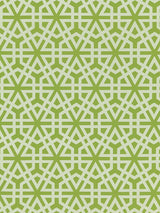 Scalamandre Lisbon Weave Palm Fabric