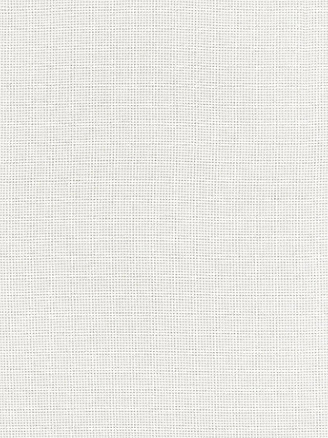 Scalamandre Aruba Sheer Whelk Fabric