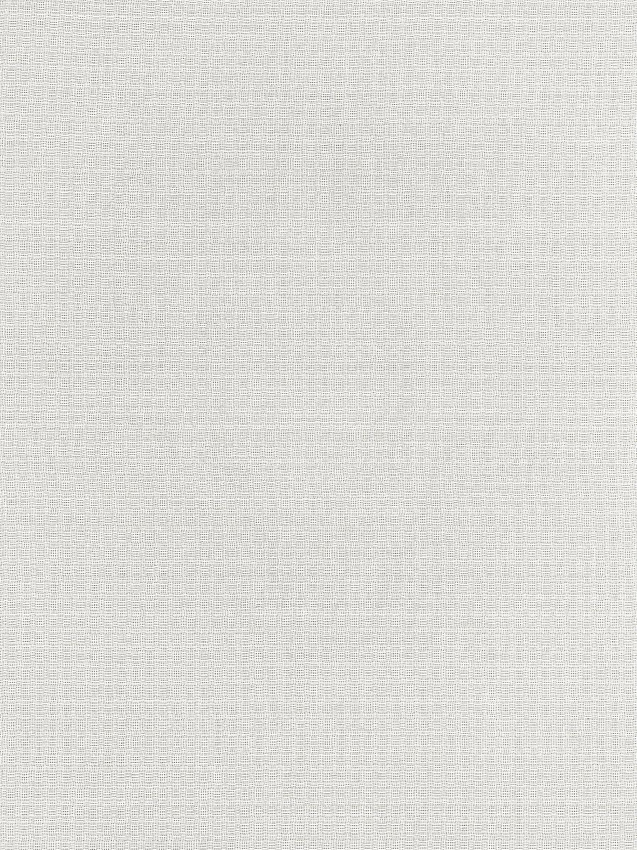 Scalamandre Malta Sheer Whelk Fabric