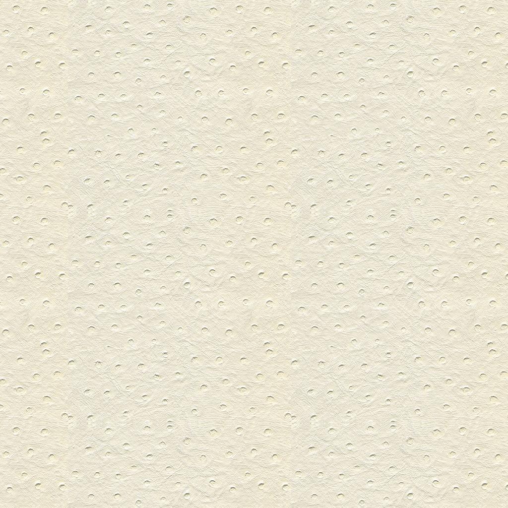 Kravet DESIGN SENNA 101 Upholstery Fabric