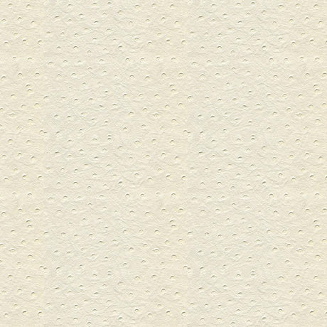 Kravet DESIGN SENNA 101 Upholstery Fabric