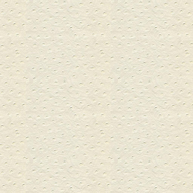 Kravet DESIGN SENNA 101 Upholstery Fabric