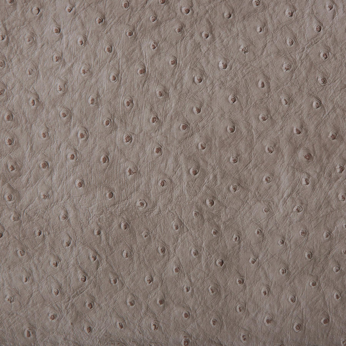 Kravet DESIGN SENNA 11 Upholstery Fabric