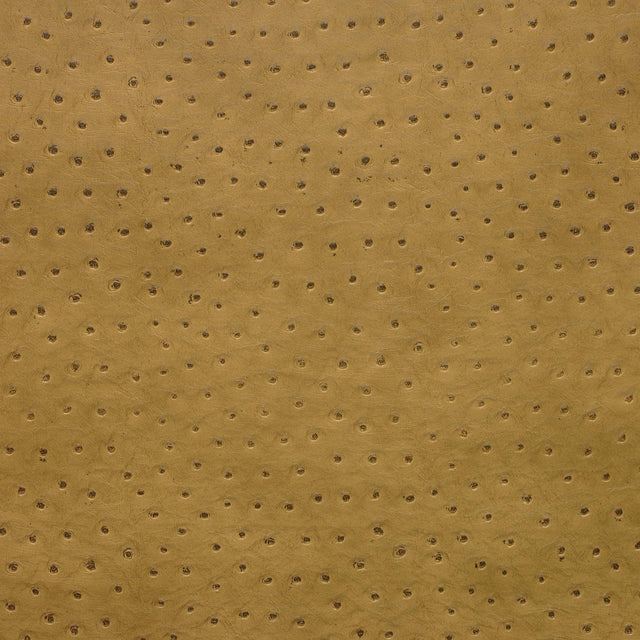 Kravet DESIGN SENNA 4 Upholstery Fabric
