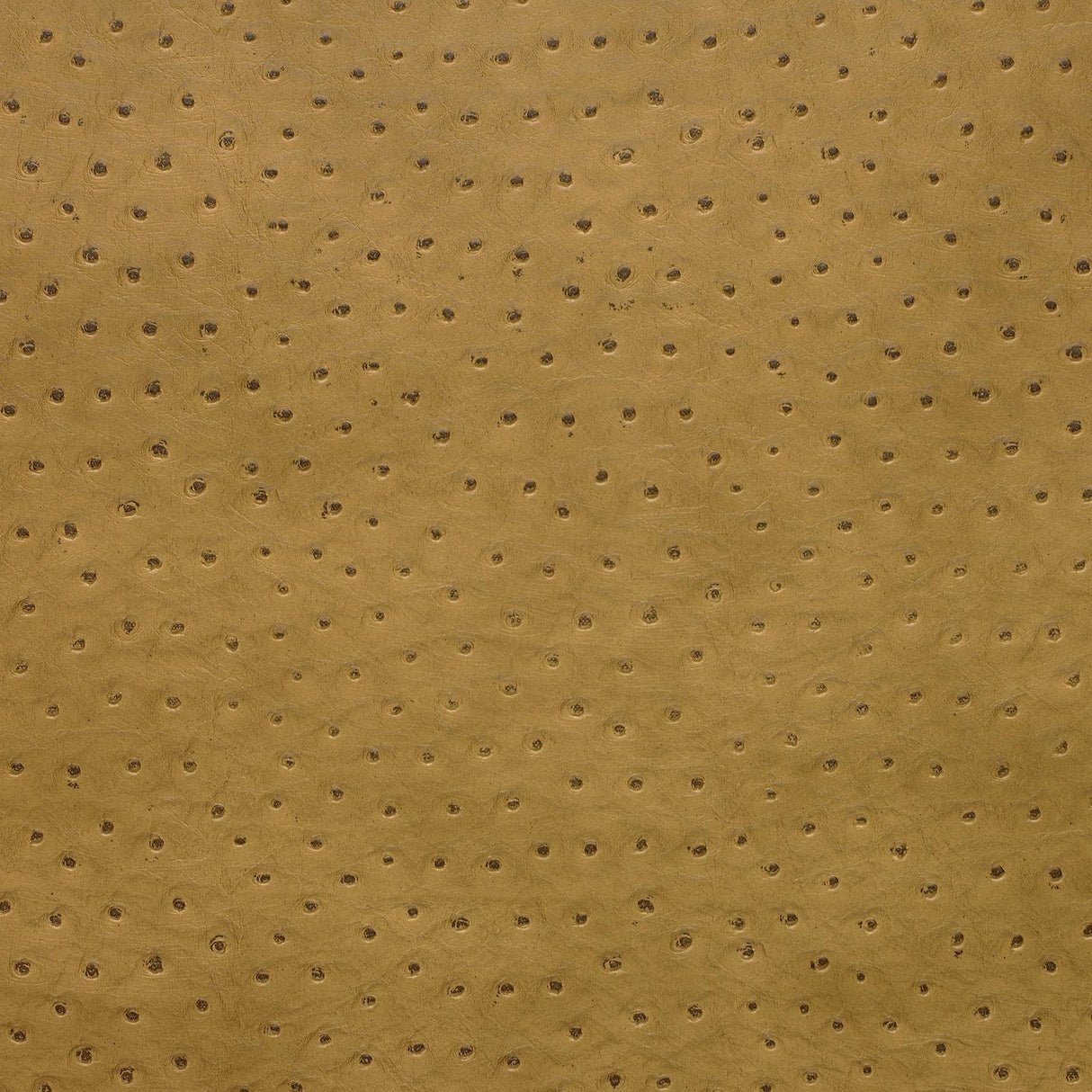 Kravet DESIGN SENNA 4 Upholstery Fabric