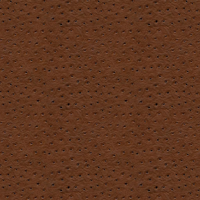 Kravet DESIGN SENNA 6 Upholstery Fabric