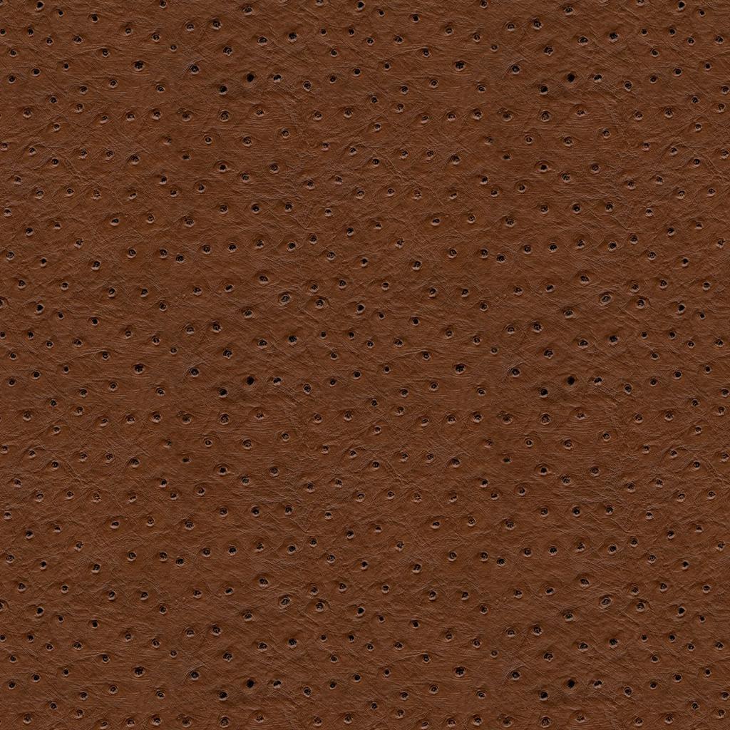Kravet DESIGN SENNA 6 Upholstery Fabric