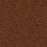 Kravet DESIGN SENNA 6 Upholstery Fabric