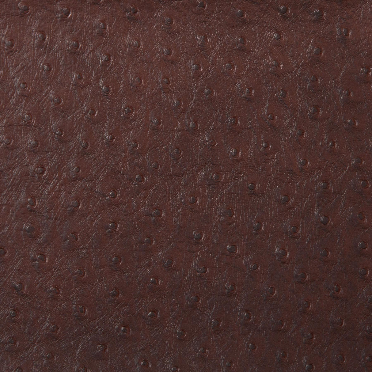 Kravet DESIGN SENNA 66 Upholstery Fabric