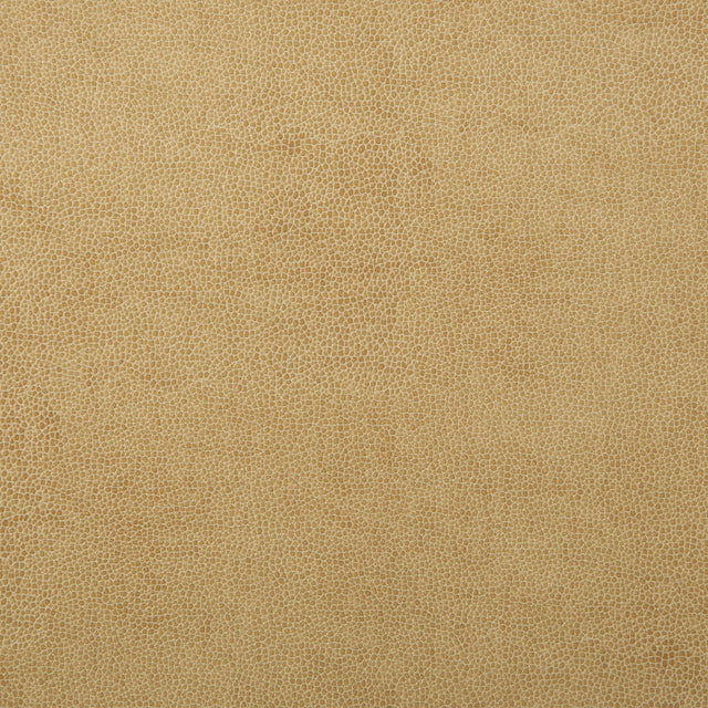 Kravet DESIGN SPARTA 1 Upholstery Fabric
