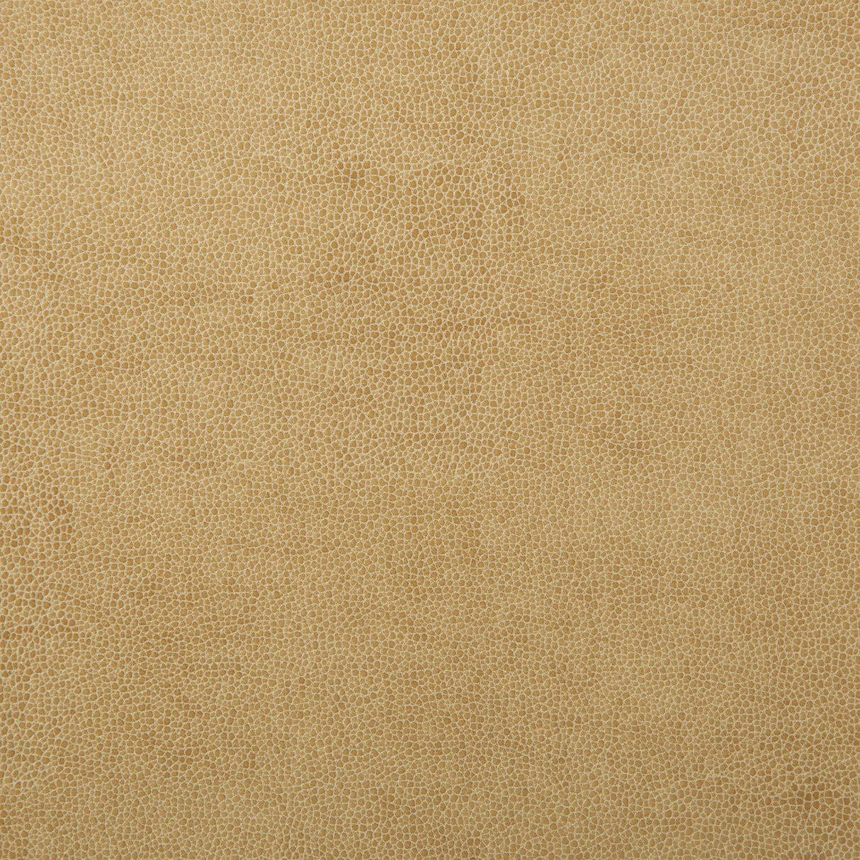 Kravet DESIGN SPARTA 1 Upholstery Fabric