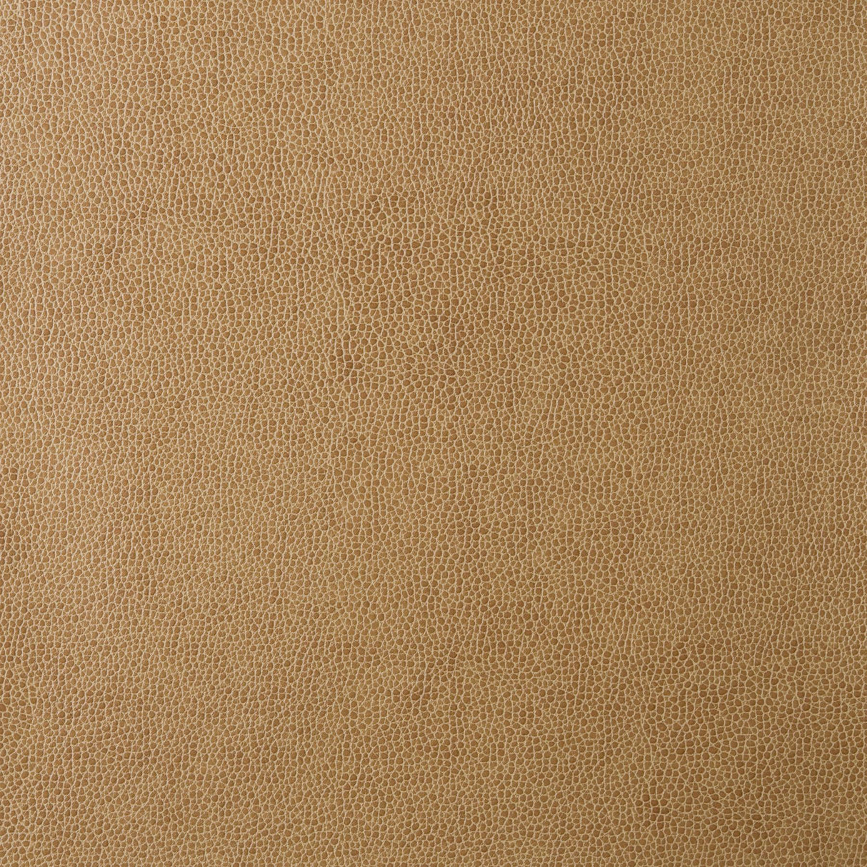 Kravet DESIGN SPARTA 16 Upholstery Fabric