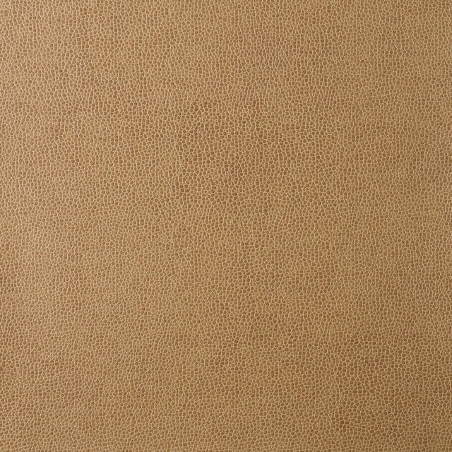 Kravet DESIGN SPARTA 16 Upholstery Fabric